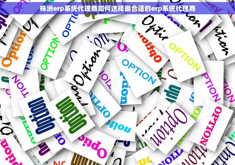 株洲erp系统代理商如何选择最合适的erp系统代理商