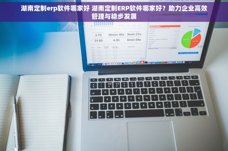 湖南定制erp软件哪家好 湖南定制ERP软件哪家好？助力企业高效管理与稳步发展