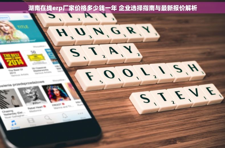 湖南在线erp厂家价格多少钱一年 企业选择指南与最新报价解析
