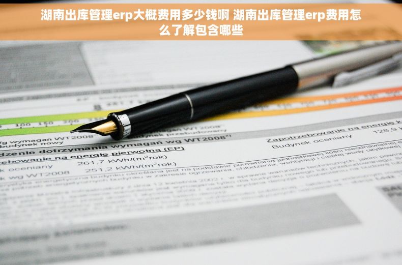湖南出库管理erp大概费用多少钱啊 湖南出库管理erp费用怎么了解包含哪些