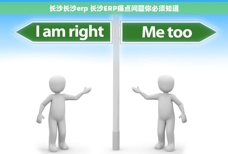 长沙长沙erp 长沙ERP痛点问题你必须知道