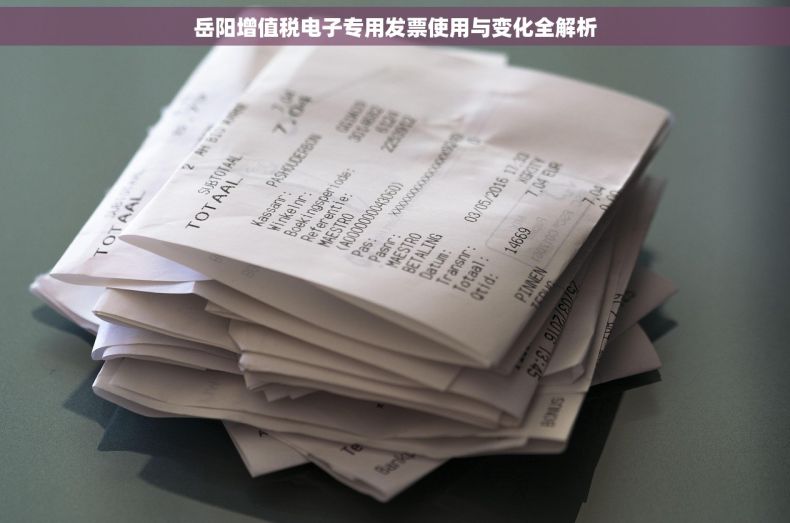 岳阳增值税电子专用发票使用与变化全解析
