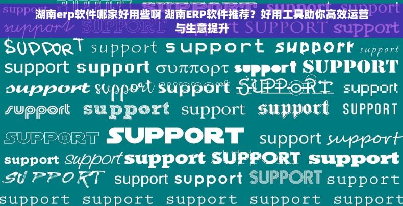 湖南erp软件哪家好用些啊 湖南ERP软件推荐？好用工具助你高效运营与生意提升