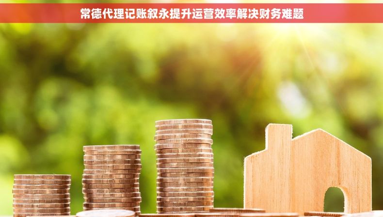 常德代理记账叙永提升运营效率解决财务难题