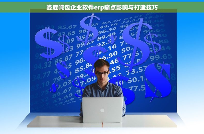 娄底吨包企业软件erp痛点影响与打造技巧