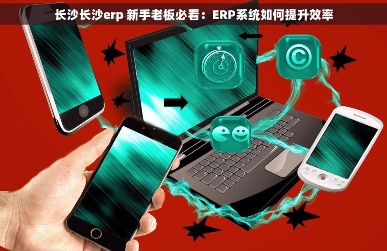 长沙长沙erp 新手老板必看：ERP系统如何提升效率