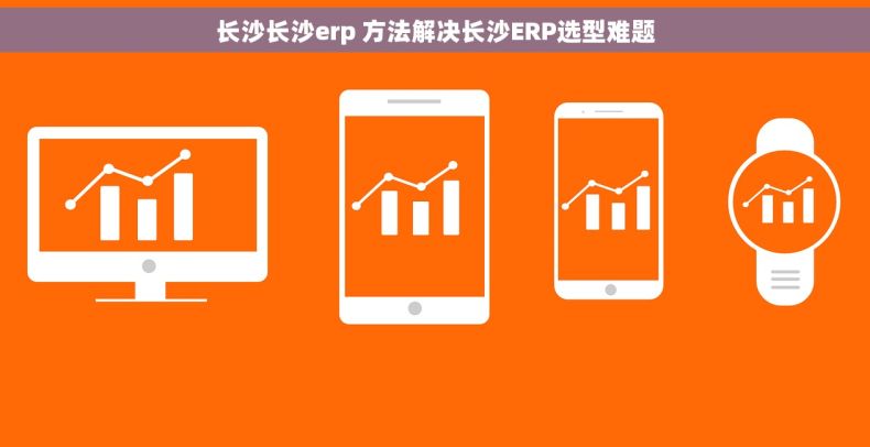 长沙长沙erp 方法解决长沙ERP选型难题