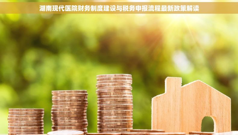 湖南现代医院财务制度建设与税务申报流程最新政策解读
