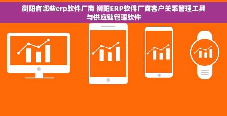 衡阳有哪些erp软件厂商 衡阳ERP软件厂商客户关系管理工具与供应链管理软件