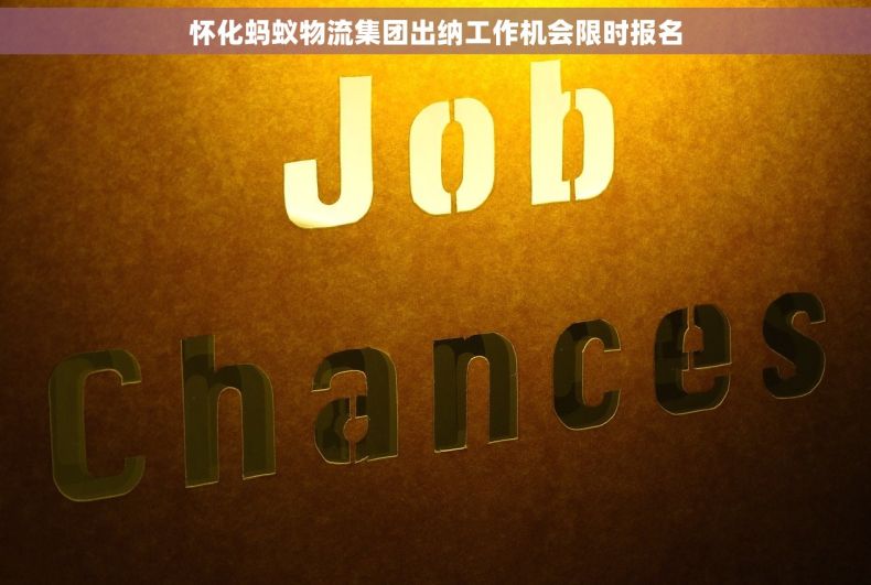 怀化蚂蚁物流集团出纳工作机会限时报名