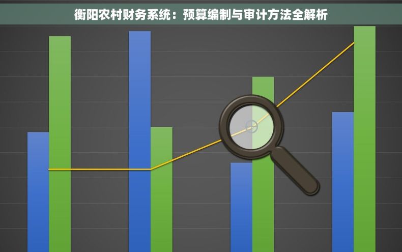 衡阳农村财务系统：预算编制与审计方法全解析
