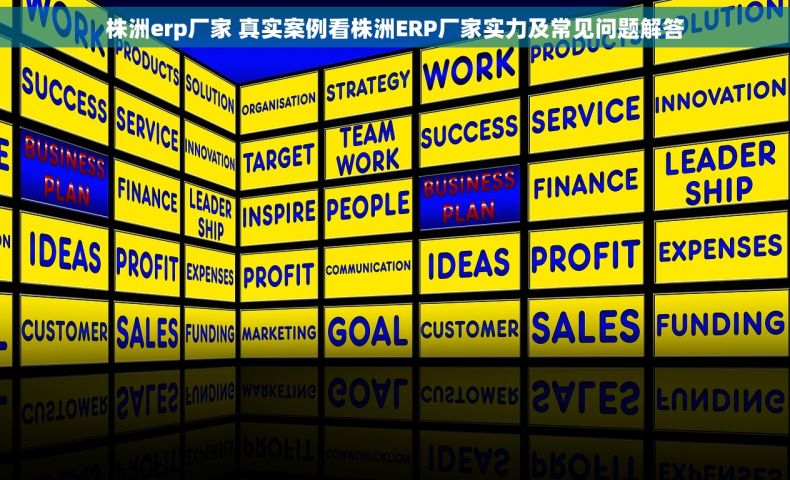 株洲erp厂家 真实案例看株洲ERP厂家实力及常见问题解答