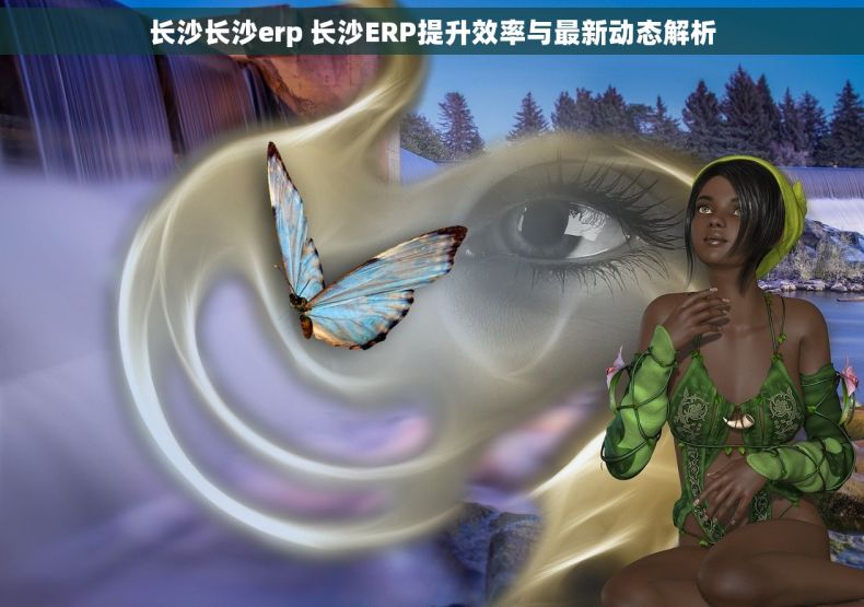 长沙长沙erp 长沙ERP提升效率与最新动态解析