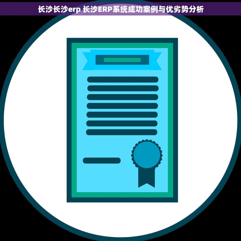 长沙长沙erp 长沙ERP系统成功案例与优劣势分析