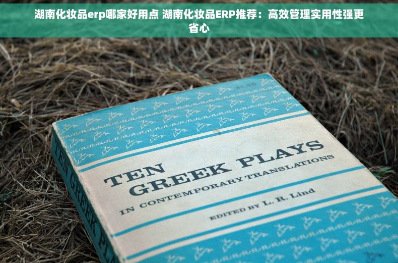 湖南化妆品erp哪家好用点 湖南化妆品ERP推荐：高效管理实用性强更省心