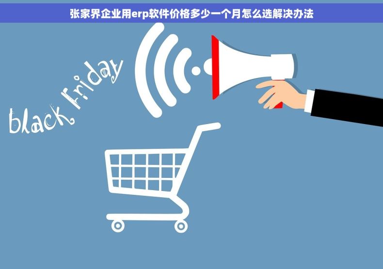 张家界企业用erp软件价格多少一个月怎么选解决办法