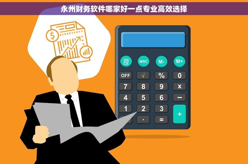 永州财务软件哪家好一点专业高效选择