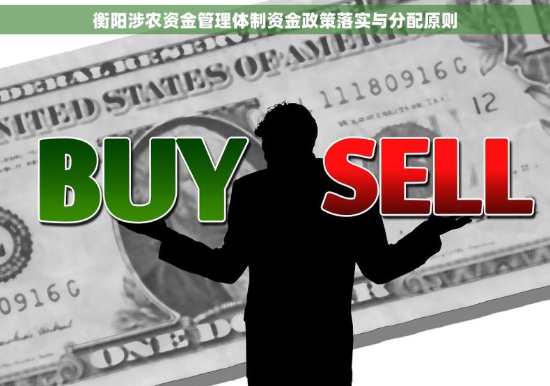 衡阳涉农资金管理体制资金政策落实与分配原则
