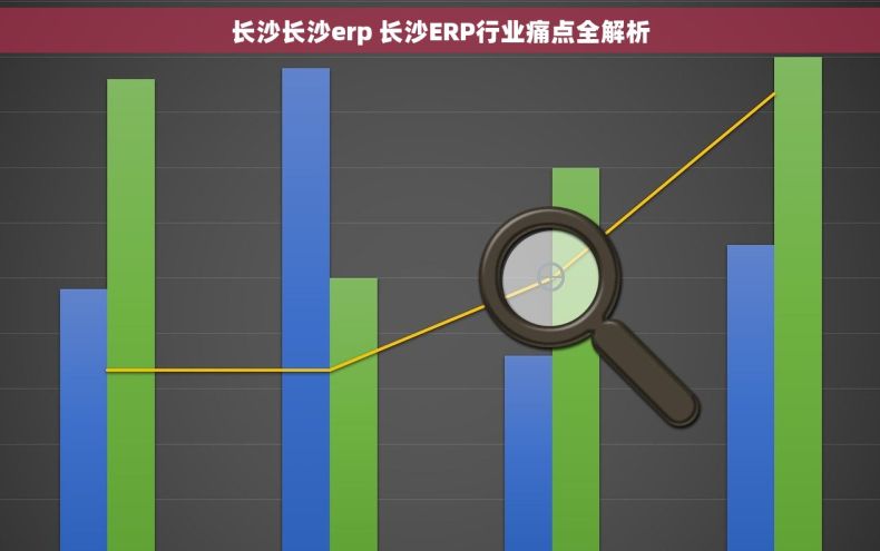 长沙长沙erp 长沙ERP行业痛点全解析