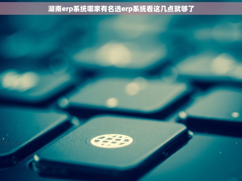 湖南erp系统哪家有名选erp系统看这几点就够了