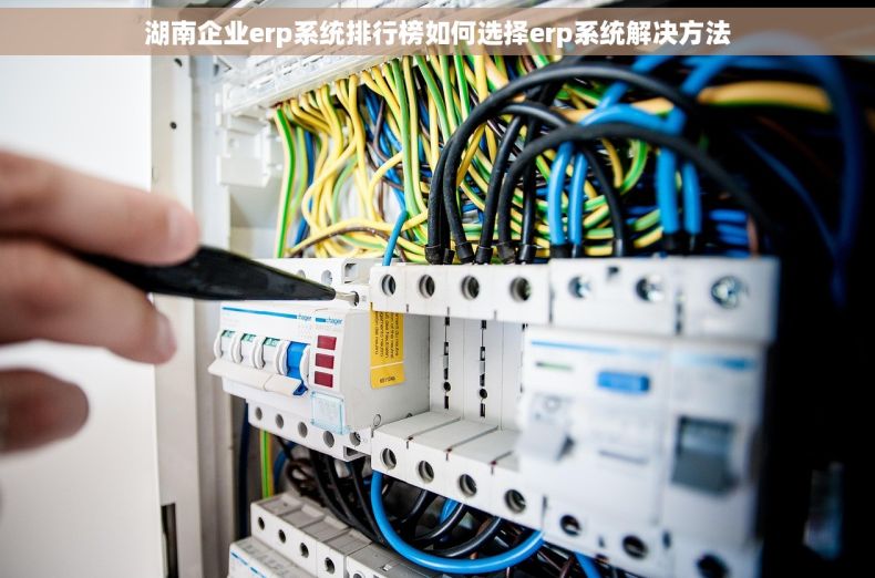 湖南企业erp系统排行榜如何选择erp系统解决方法