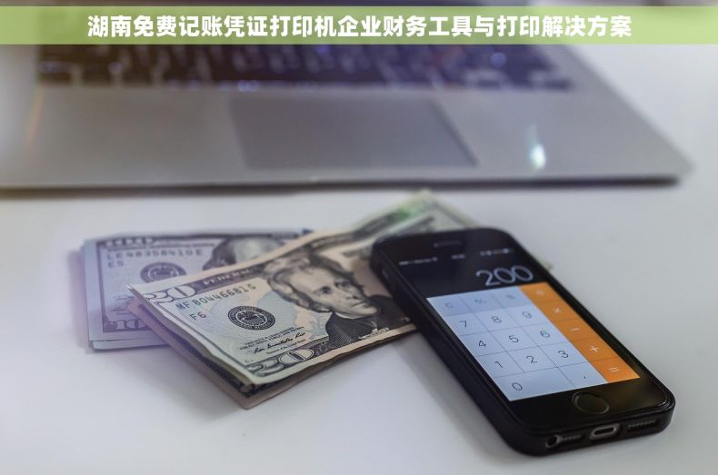 湖南免费记账凭证打印机企业财务工具与打印解决方案