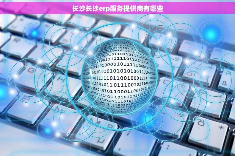 长沙长沙erp服务提供商有哪些