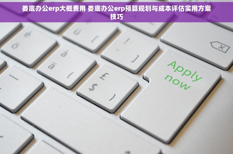 娄底办公erp大概费用 娄底办公erp预算规划与成本评估实用方案技巧