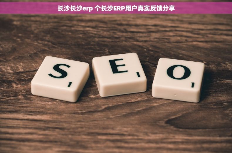 长沙长沙erp 个长沙ERP用户真实反馈分享