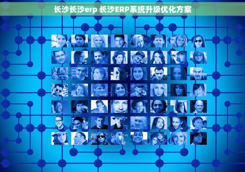 长沙长沙erp 长沙ERP系统升级优化方案