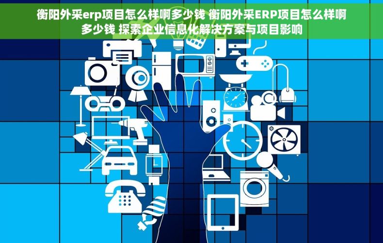 衡阳外采erp项目怎么样啊多少钱 衡阳外采ERP项目怎么样啊多少钱 探索企业信息化解决方案与项目影响