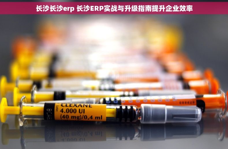 长沙长沙erp 长沙ERP实战与升级指南提升企业效率