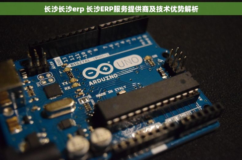 长沙长沙erp 长沙ERP服务提供商及技术优势解析