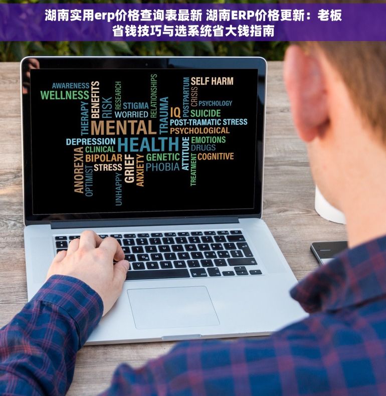 湖南实用erp价格查询表最新 湖南ERP价格更新：老板省钱技巧与选系统省大钱指南
