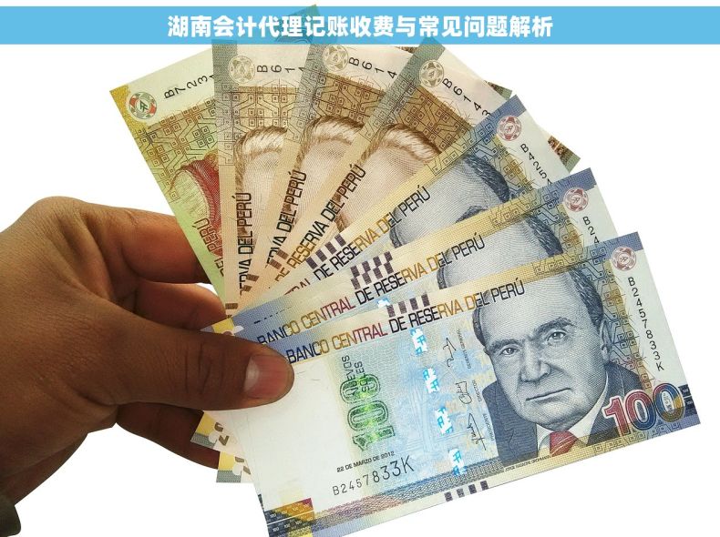 湖南会计代理记账收费与常见问题解析