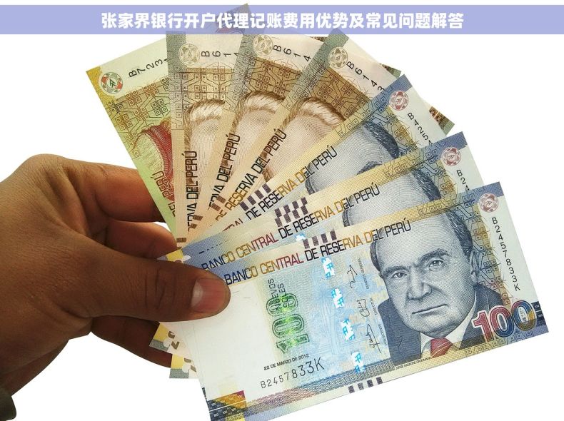 张家界银行开户代理记账费用优势及常见问题解答