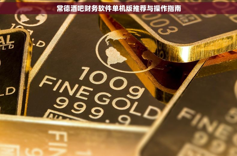 常德酒吧财务软件单机版推荐与操作指南