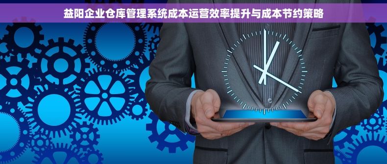 益阳企业仓库管理系统成本运营效率提升与成本节约策略