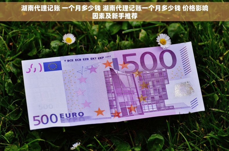 湖南代理记账 一个月多少钱 湖南代理记账一个月多少钱 价格影响因素及新手推荐