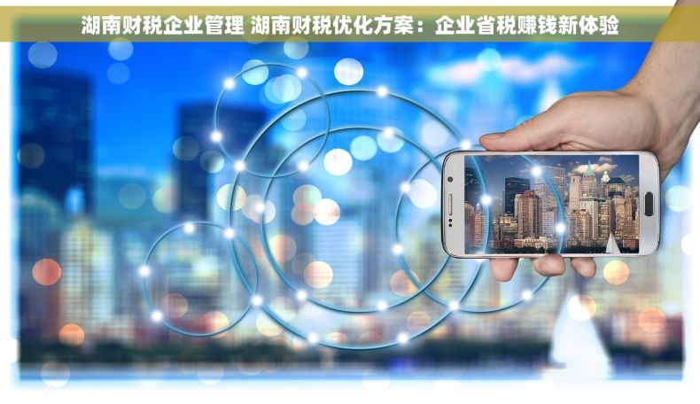 湖南财税企业管理 湖南财税优化方案：企业省税赚钱新体验