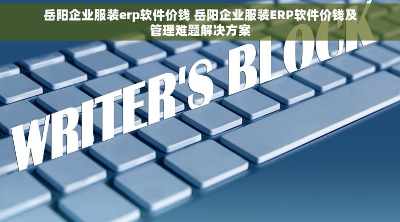 岳阳企业服装erp软件价钱 岳阳企业服装ERP软件价钱及管理难题解决方案