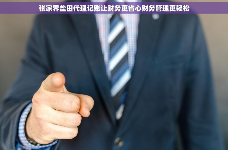 张家界盐田代理记账让财务更省心财务管理更轻松