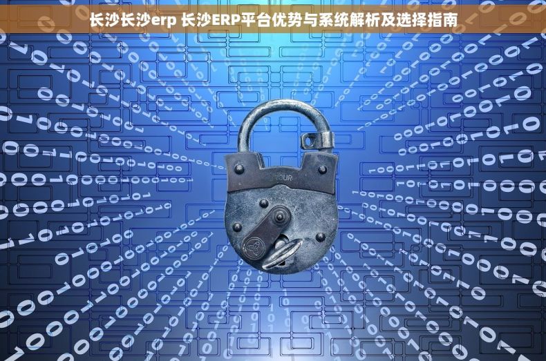 长沙长沙erp 长沙ERP平台优势与系统解析及选择指南