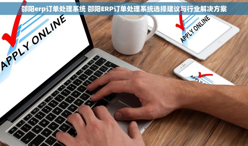 邵阳erp订单处理系统 邵阳ERP订单处理系统选择建议与行业解决方案