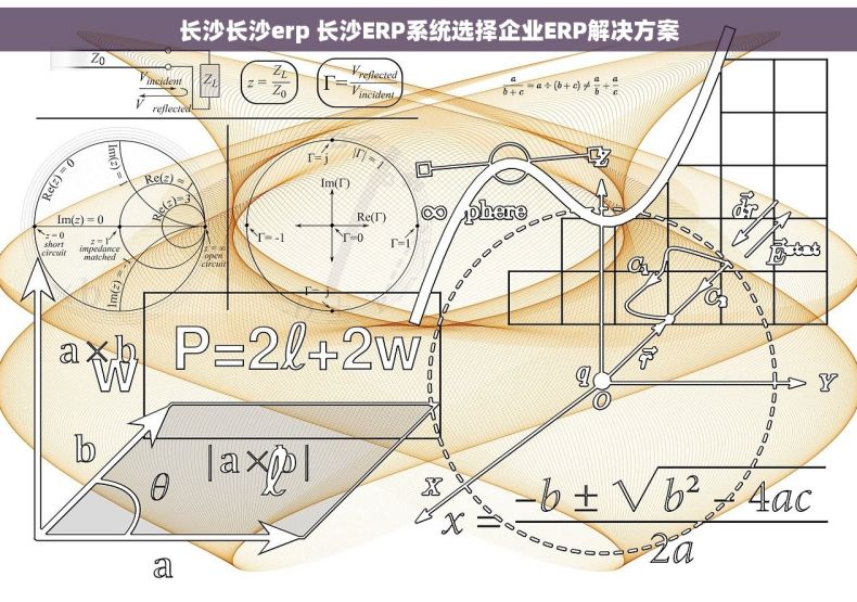 长沙长沙erp 长沙ERP系统选择企业ERP解决方案