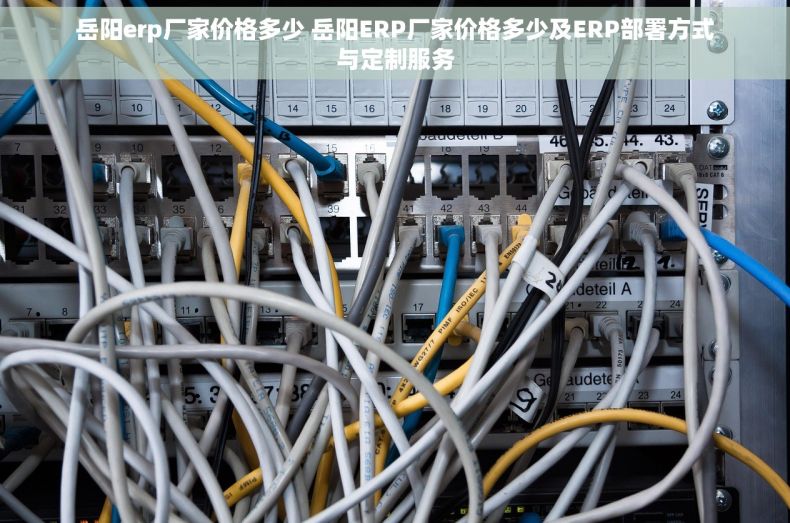 岳阳erp厂家价格多少 岳阳ERP厂家价格多少及ERP部署方式与定制服务