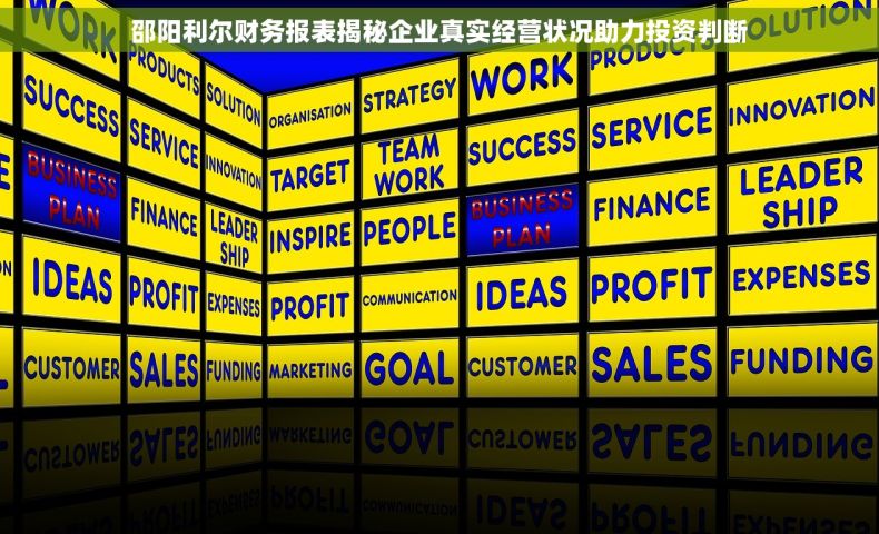 邵阳利尔财务报表揭秘企业真实经营状况助力投资判断