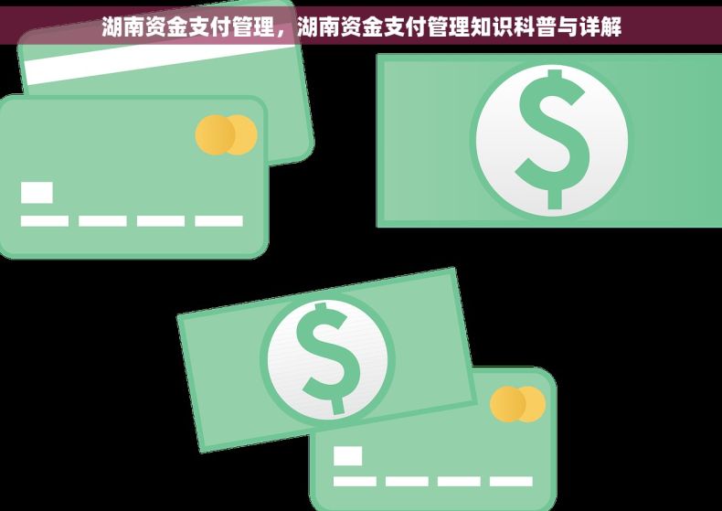 湖南资金支付管理，湖南资金支付管理知识科普与详解