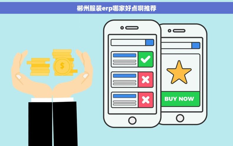 郴州服装erp哪家好点啊推荐