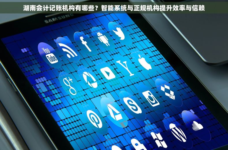 湖南会计记账机构有哪些？智能系统与正规机构提升效率与信赖